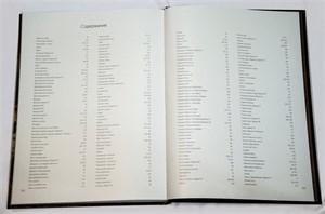 Альбом Михаила Сатарова