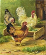 &amp;quot;Петух и куры&amp;quot;